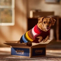 Frisco Chunky Knit Multi-Stripe Dog & Cat Sweater -Cat Dog Supply Store 718662 PT7. AC SS1800 V1692378219
