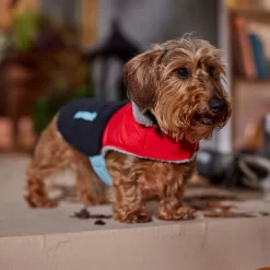 Frisco Medium Weight Retro Colorblock Mixed Media Dog & Cat Coat -Cat Dog Supply Store 719462 PT7. AC SS1800 V1692379031