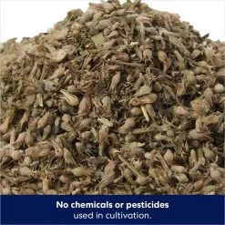 Frisco Natural Catnip & Hartz Cattraction Silver Vine & Catnip Gator Cat Scratcher Toy, Color Varies -Cat Dog Supply Store 737470 PT3. AC SS1800 V1683212146