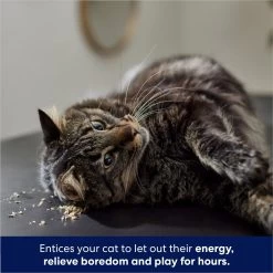 Frisco Natural Catnip & Hartz Cattraction Silver Vine & Catnip Gator Cat Scratcher Toy, Color Varies -Cat Dog Supply Store 737470 PT4. AC SS1800 V1683212147