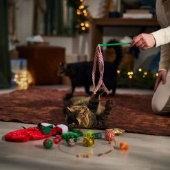 Frisco Holiday Cozy Christmas Sack Variety Pack Cat Toy With Catnip -Cat Dog Supply Store 740054 PT3. AC SS1800 V1694812461