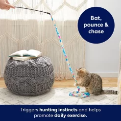 Frisco Fabric Teaser Wand Cat Toy & Frisco Bird With Feathers Teaser Wand Cat Toy With Catnip -Cat Dog Supply Store 962094 PT3. AC SS1800 V1694782977