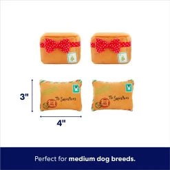 Frisco Holiday Hot Cocoa Hide & Seek Puzzle Plush Squeaky Dog Toy & Frisco Holiday North Pole Mailbox Hide & Seek Puzzle Plush Squeaky Dog Toy -Cat Dog Supply Store 986166 PT7. AC SS1800 V1698258463