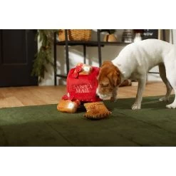 Frisco Holiday Hot Cocoa Hide & Seek Puzzle Plush Squeaky Dog Toy & Frisco Holiday North Pole Mailbox Hide & Seek Puzzle Plush Squeaky Dog Toy -Cat Dog Supply Store 986166 PT8. AC SS1800 V1698258533