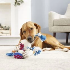 Frisco Holiday Snowman Plush With Rope Squeaky Dog Toy & Frisco Holiday Reindeer Plush With Rope Squeaky Dog Toy -Cat Dog Supply Store 986174 PT4. AC SS1800 V1698258345