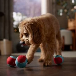 Frisco Holiday Ho Ho Ho Fetch Squeaky Tennis Ball Dog Toy & Frisco Holiday Arctic Friends Stuffing-Free Skinny Plush Squeaky Dog Toy -Cat Dog Supply Store 986310 PT4. AC SS1800 V1698257790