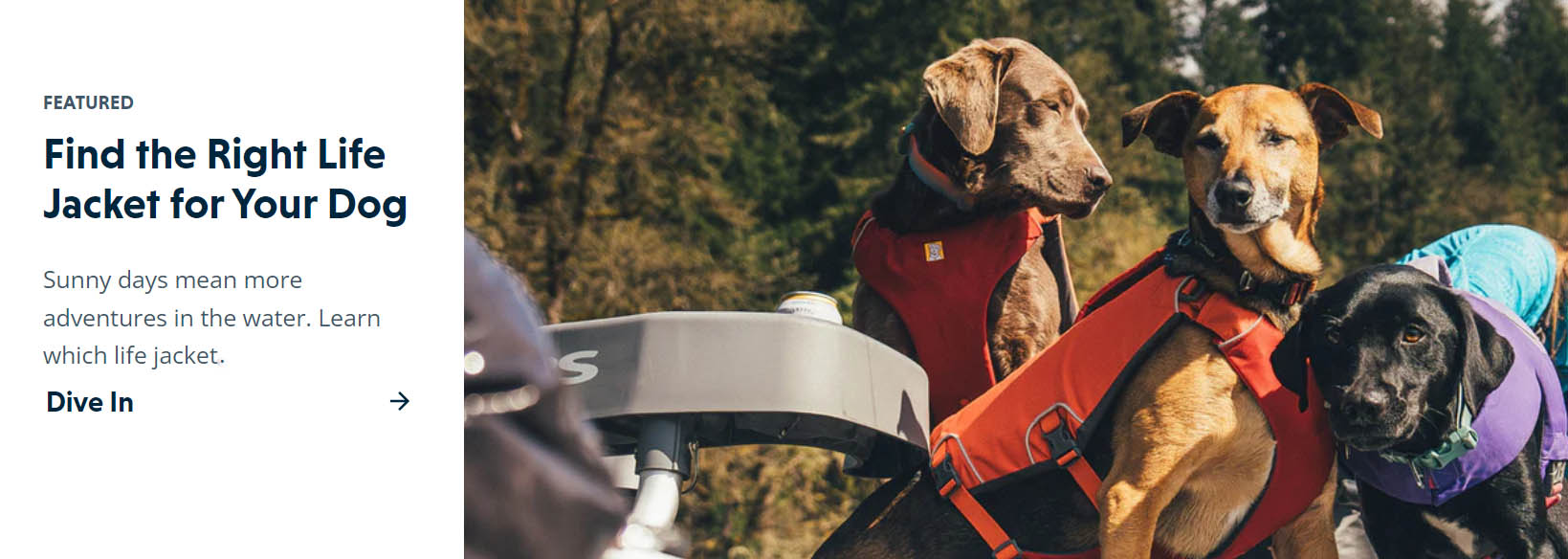 Cat Dog Supply Store -Cat Dog Supply Store DGDG