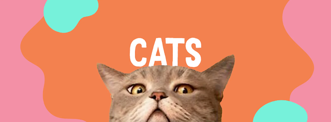 Cat Dog Supply Store -Cat Dog Supply Store c976bed0ecb9dc9febb0653a722f2a13